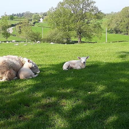 Ewe Retreat Shepherds Hut Hereford Exterior foto